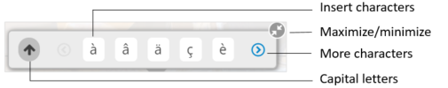 Special Character Toolbar | Cengage Help