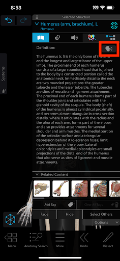 The Listen button is directly above a paragraph.