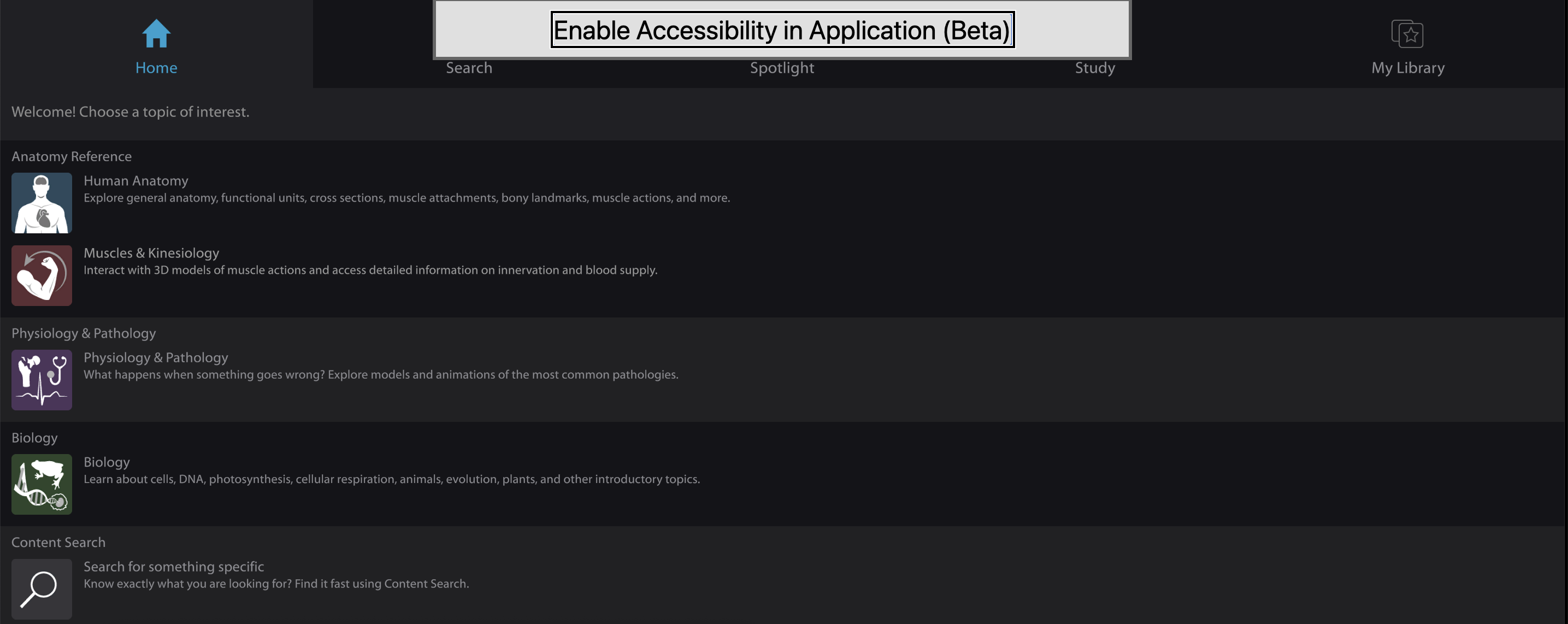 Enable Accessibility in Application (Beta) button.