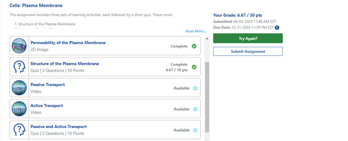A quiz listed with other assignment activities.