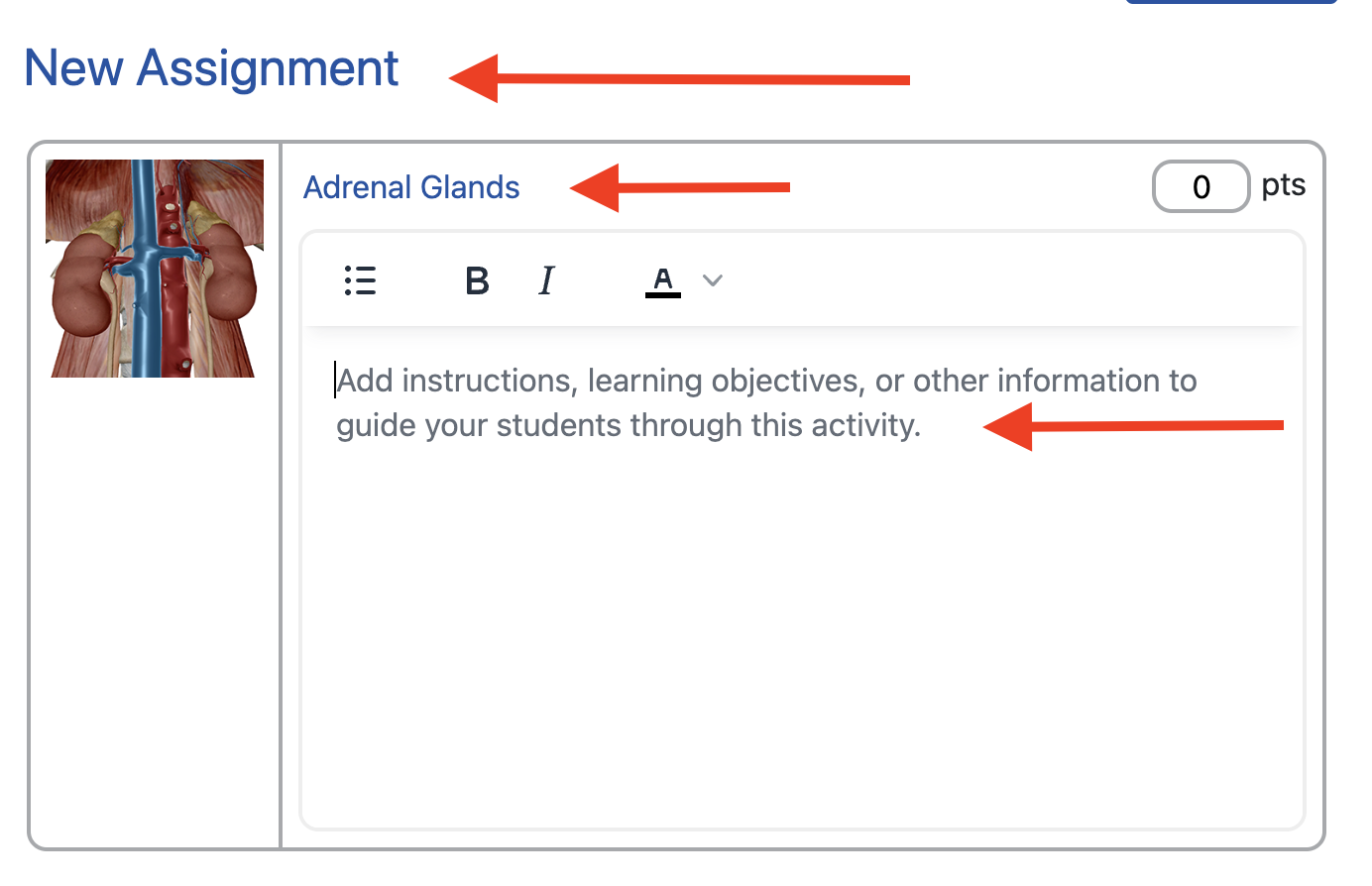New Assignment menu with fields for the assignment title, activity title, and activity instructions
