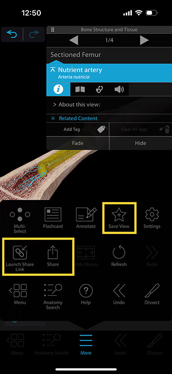 Mobile visual asset screen with Launch Share Link, Save View, and Share buttons