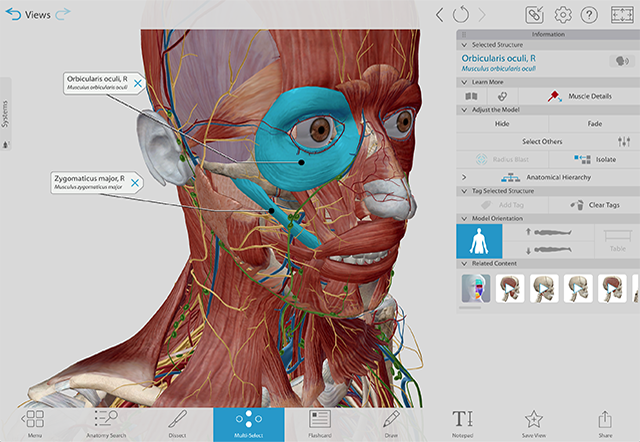 The Information menu for a 3D structure. Icons are described below.