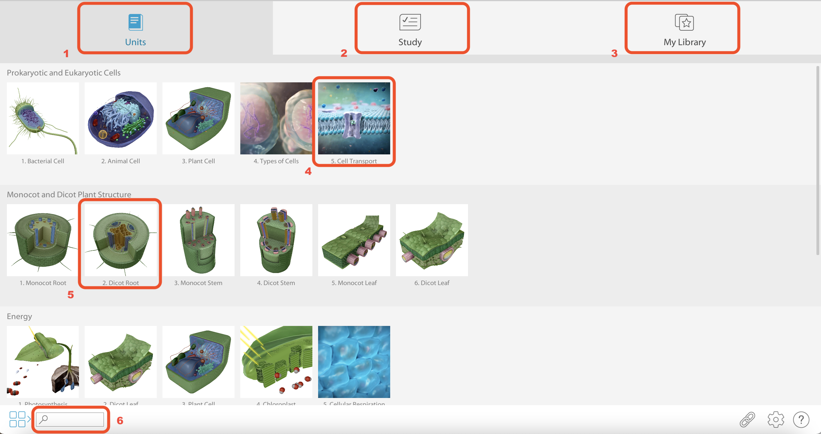 Visible Biology page with Units, Study, My Library, Animations, 3D Models, and Content Search highlighted