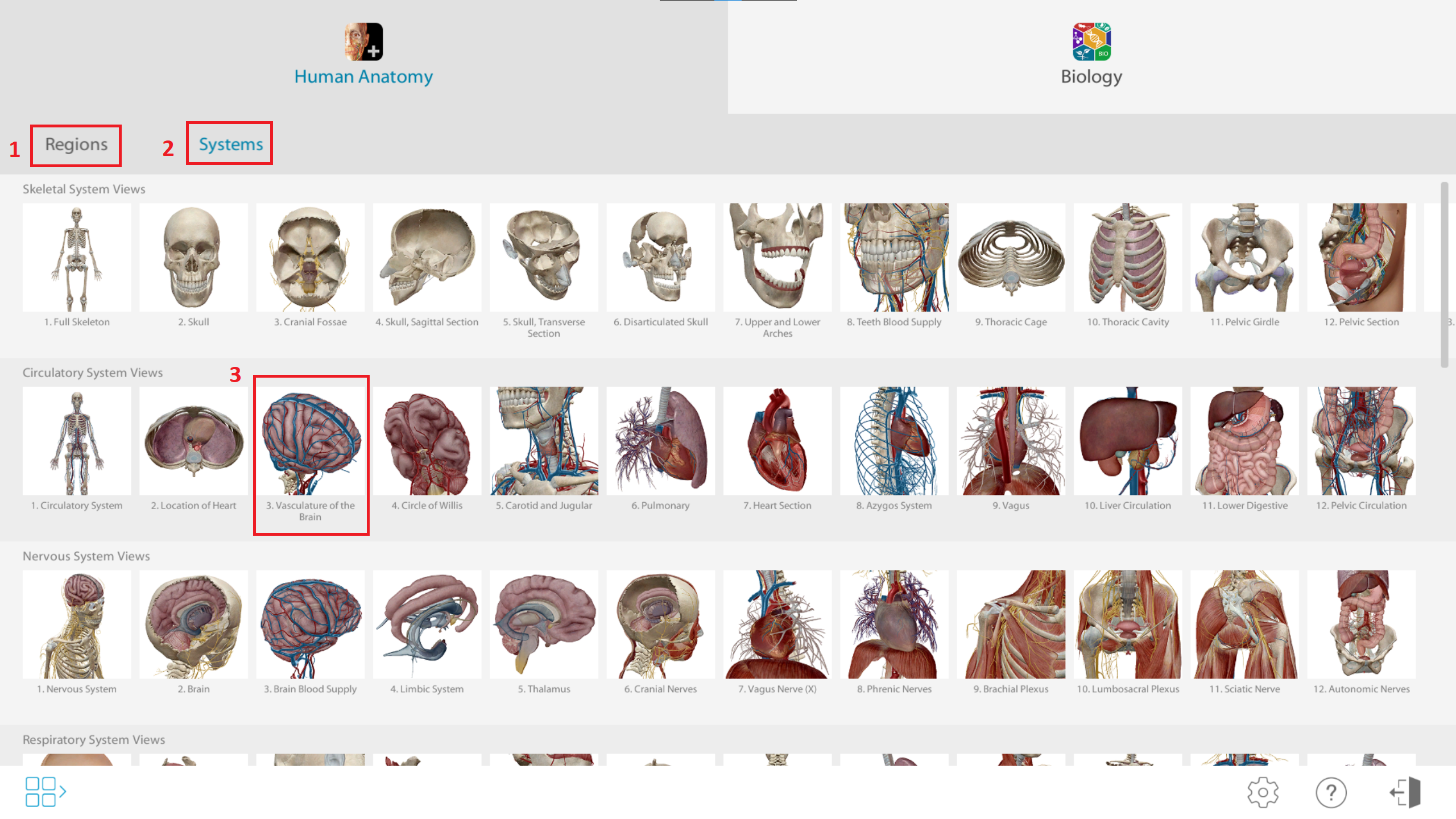 Human Anatomy menu with Regions, Systems, and 3d models highlighted.