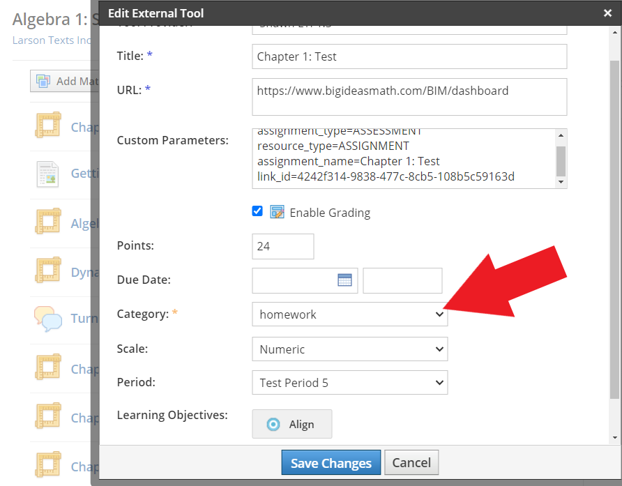 Edit External Tool menu with default text in URL and Custom Parameters