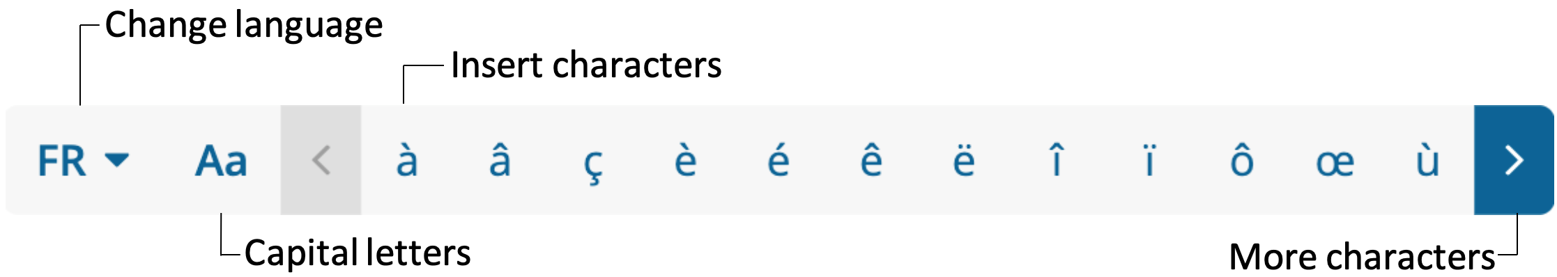 The special character toolbar includes accented letters and other characters. You can change the language and switch to capital letters.