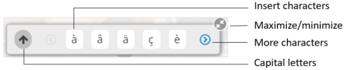 The special characters tool includes buttons for accented characters and to shift between uppercase and lowercase.