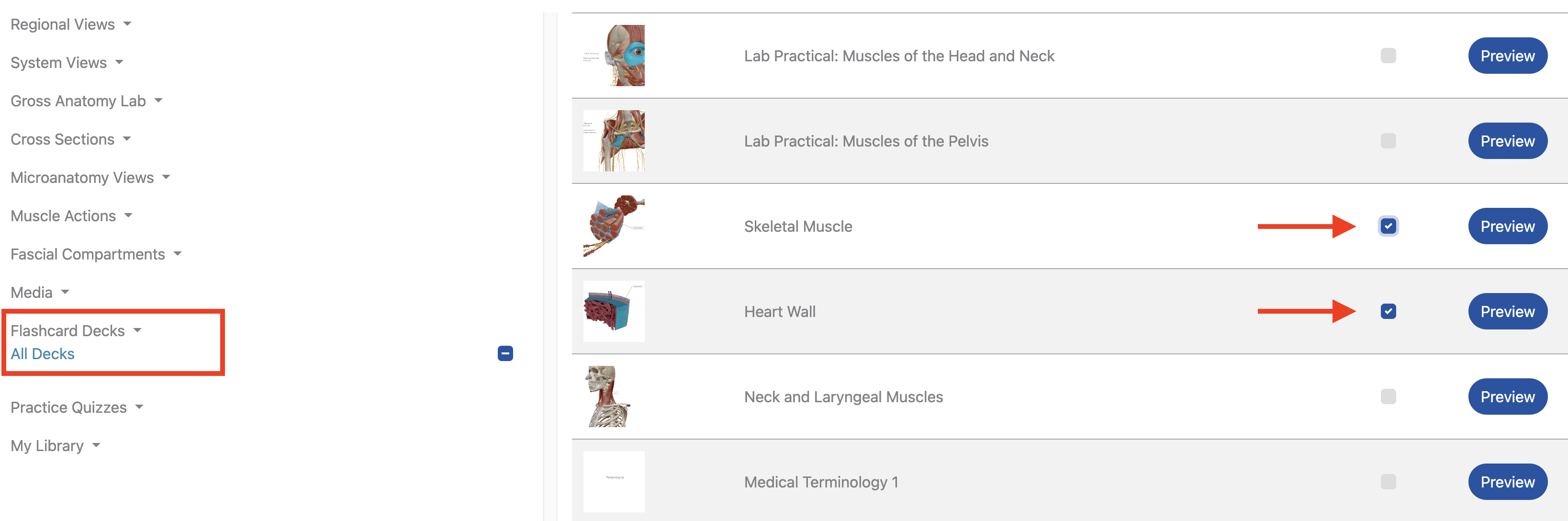 Selected flashcards are marked with checkmarks