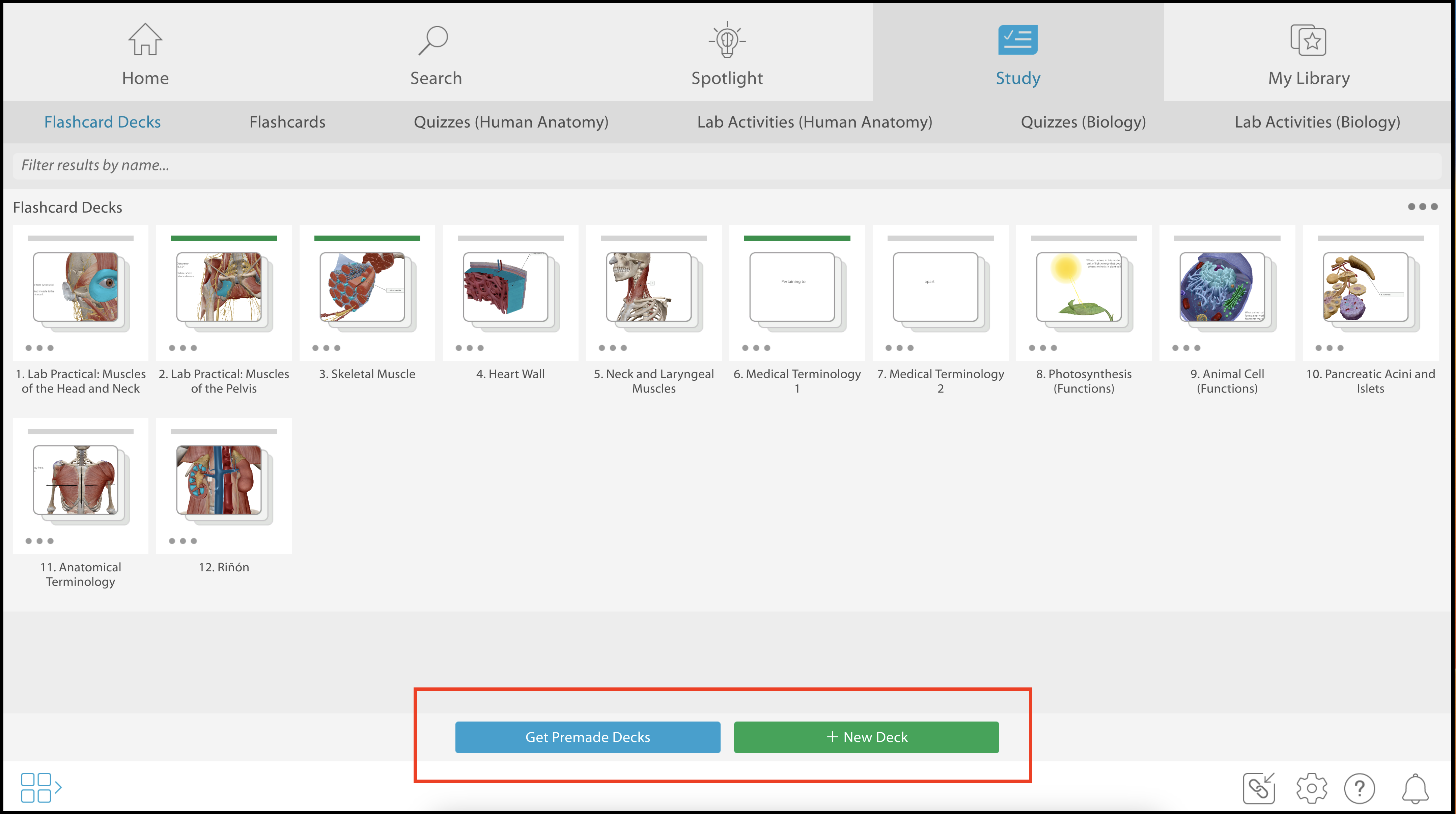 Get Premade Decks and + New Deck buttons