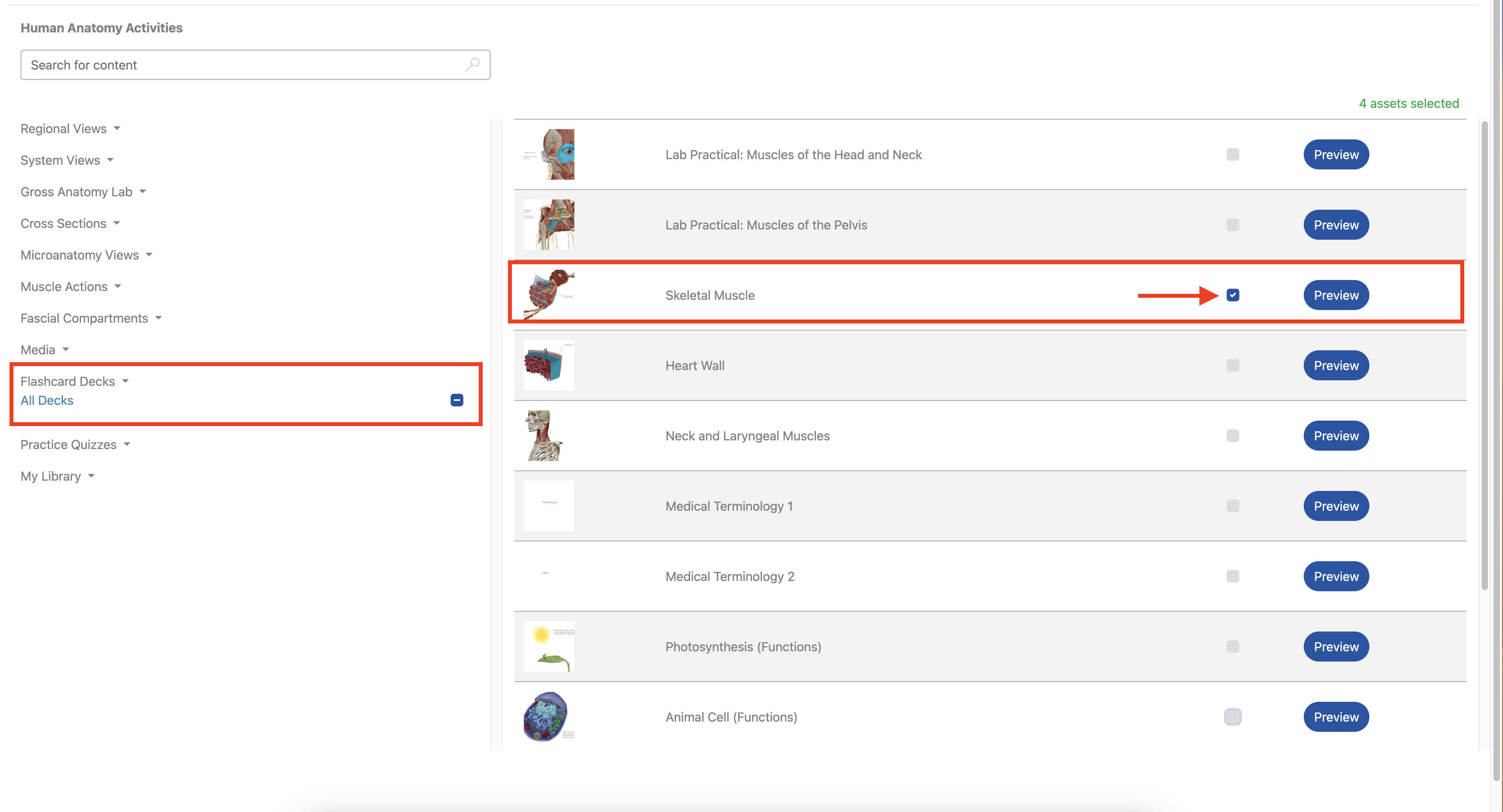 Selected flashcard deck