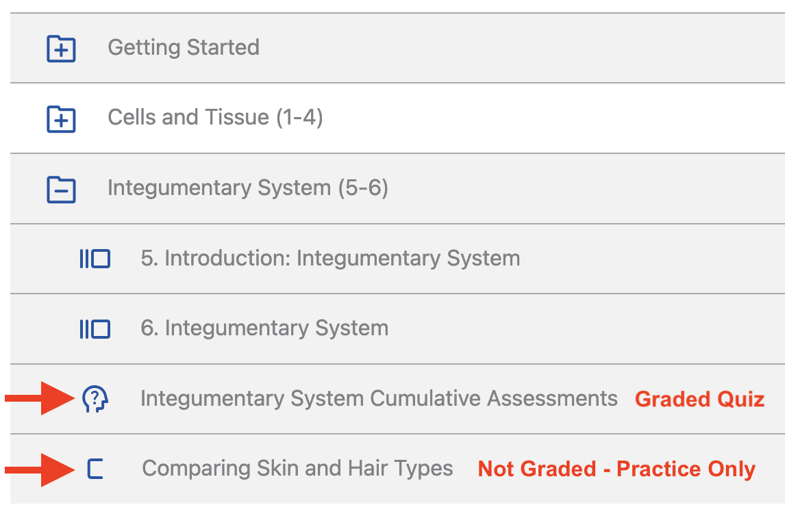 Graded quizzes are marked with an icon of a head with a question mark.