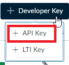 + API Key button in + Developer Key menu