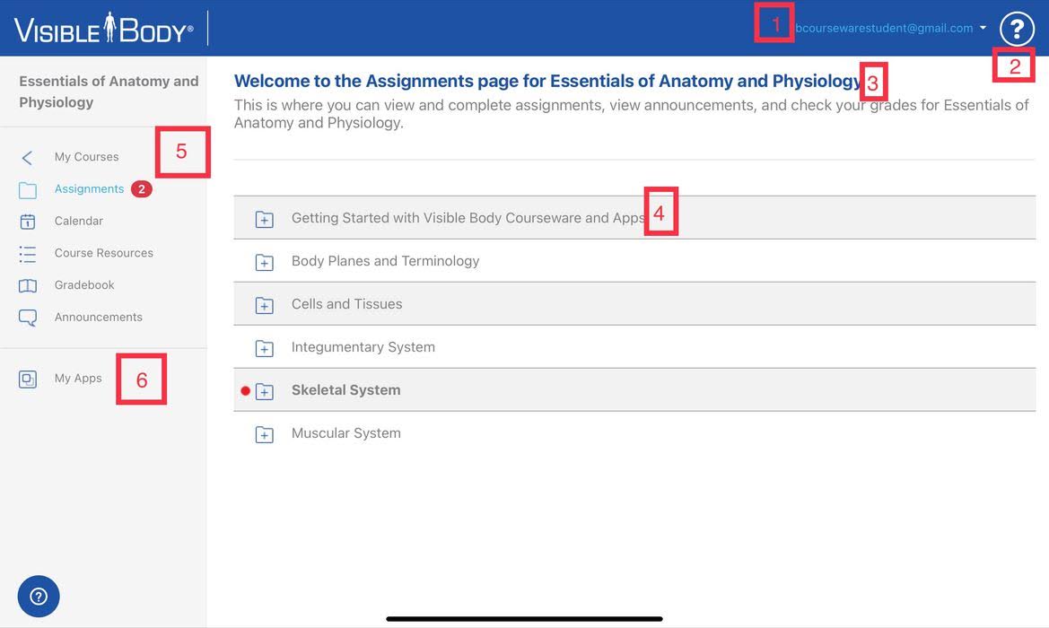 Visible Body student dashboard highlighting profile information, help link, course name, assignments, and My Apps.