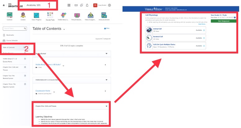 Visible Body dashboard highlighting the course name and assignments.