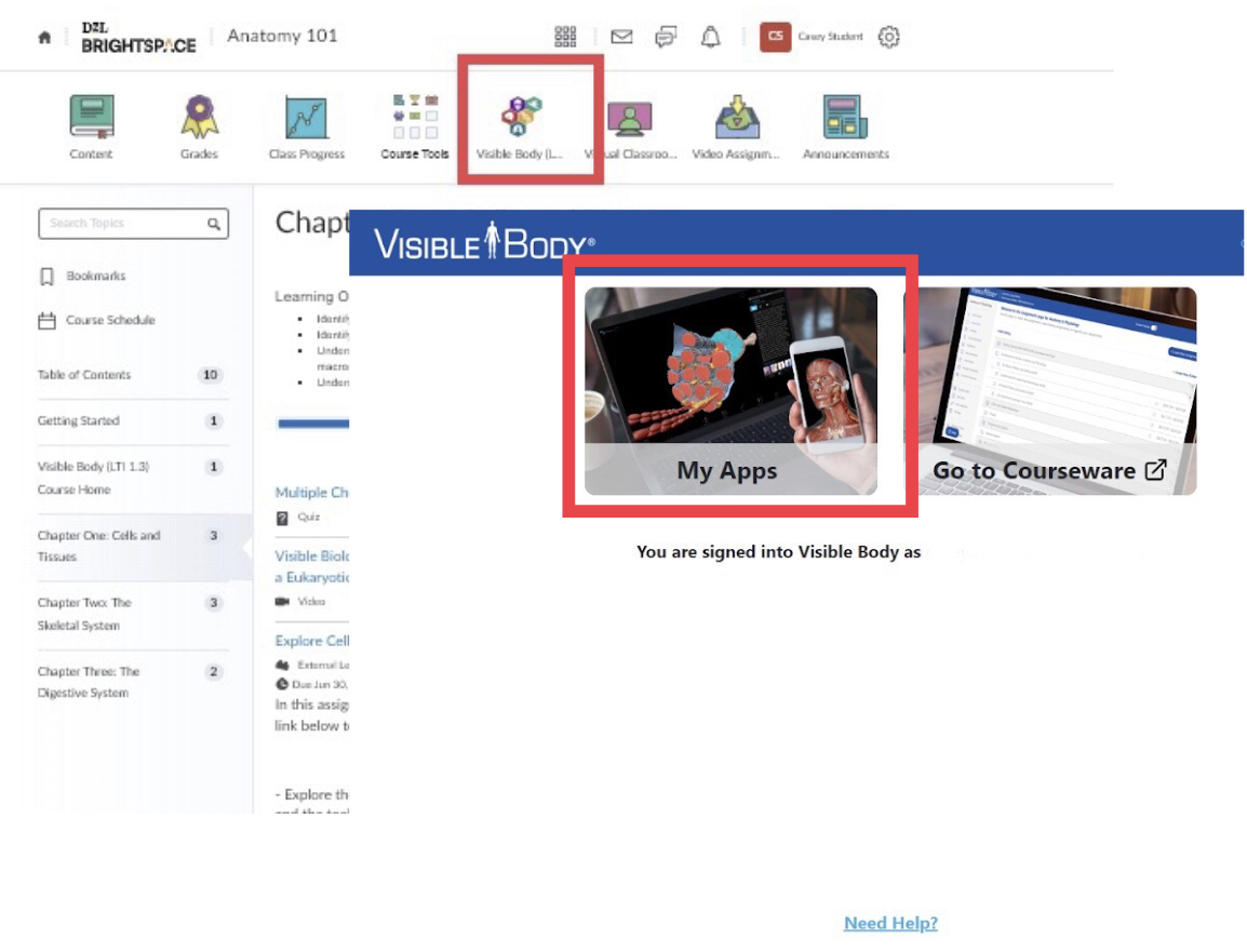 A Brightspace course linking to Visible Body; the Visible Body dashboard links to My Apps.