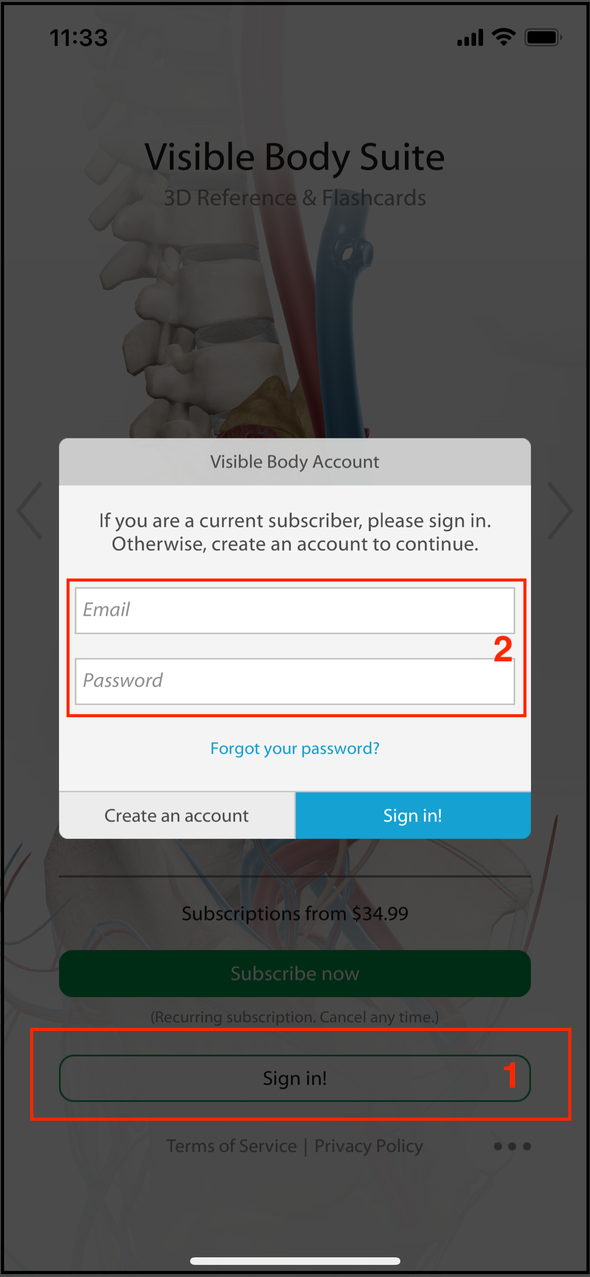VB App showing the Sign In button and entry fields for Email and Password.