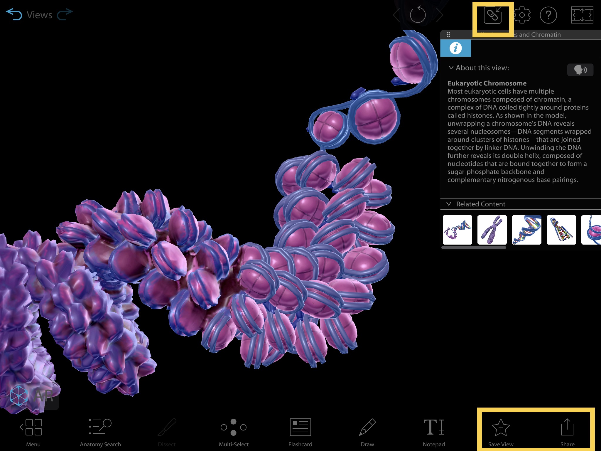 Visual asset screen with Launch Share Link, Save View, and Share buttons