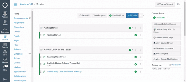 A user selects assignments in Canvas.
