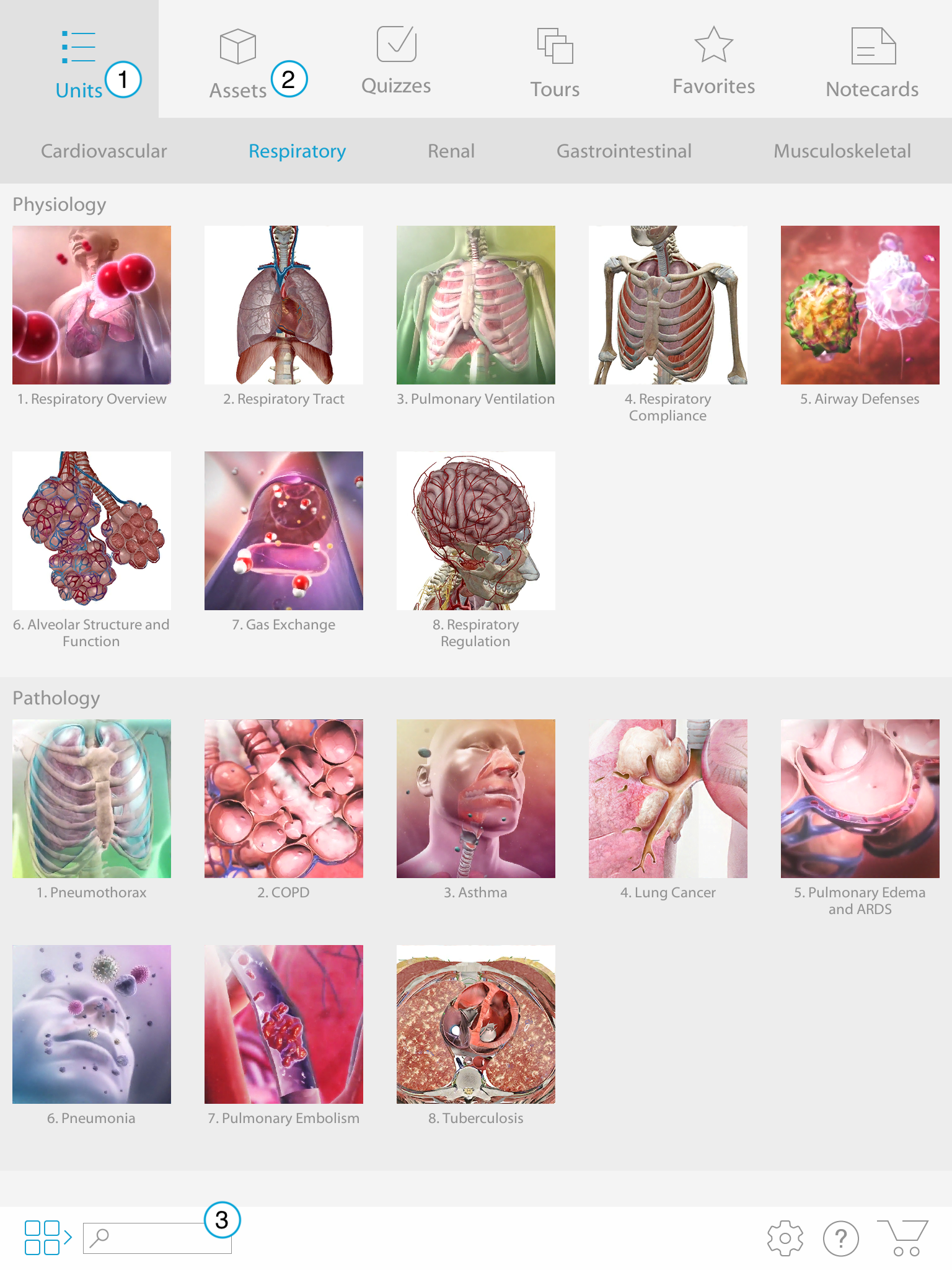 Physiology and Pathology menu showing the Units tab, Assets tab, and search bar.