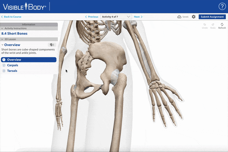 An activity. A user clicks each section in the Information box to open and collapse that section.