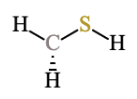 A carbon atom connected to a sulfur atom and a hydrogen atom by single bonds, and another hydrogen atom by a recessed bond. The sulfur atom is connected to a third hydrogen atom by a single bond