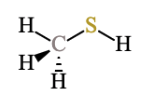 A carbon atom connected to a sulfur atom and a hydrogen atom by single bonds, a second hydrogen atom by a recessed bond, and a third hydrogen atom by a protruding bond. The sulfur atom is connected to a fourth hydrogen atom by a single bond.